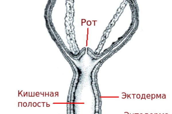 Kraken 8 at сайт